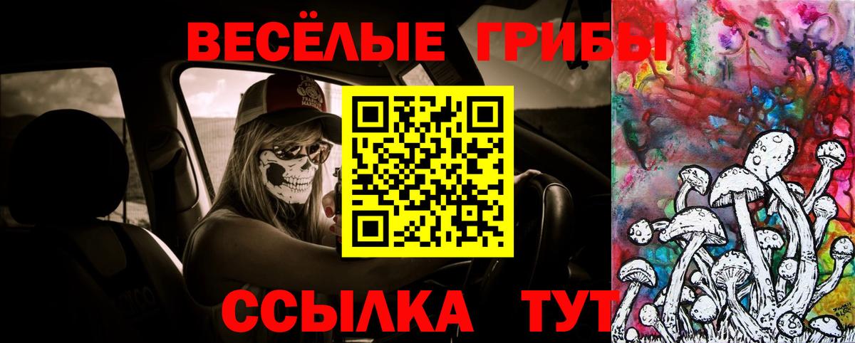 Псилоцибиновые грибы Magic Shrooms Новочебоксарск